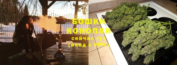 молекула духа Лихославль