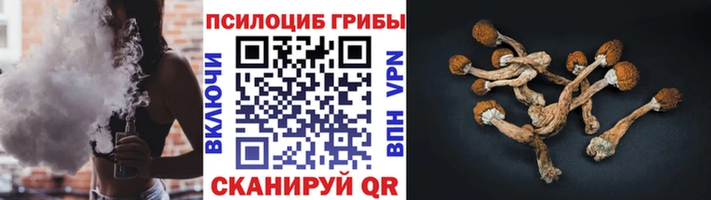 Галлюциногенные грибы Cubensis  даркнет формула  Томмот 